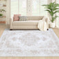 Vintage Distressed Medallion Rug